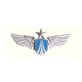 07空军胸标