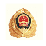 07武警大帽徽