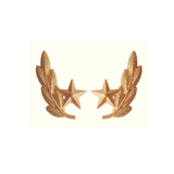 07士兵松枝叶领花