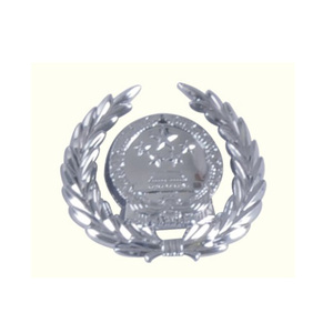 2012款警用服飾總警監徽