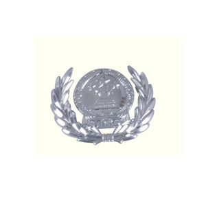 2012款警用服飾副總警監徽